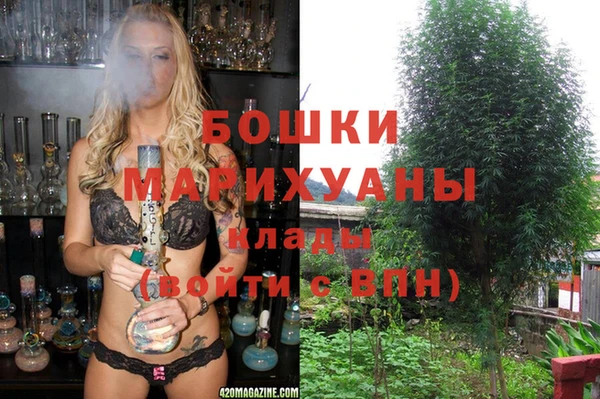 гашик Заводоуковск