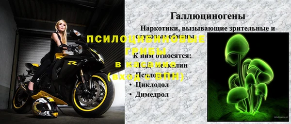 гашик Заводоуковск