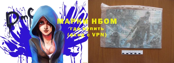 гашик Заводоуковск