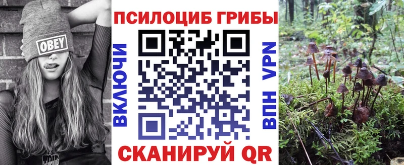 Псилоцибиновые грибы мицелий  Стрежевой 