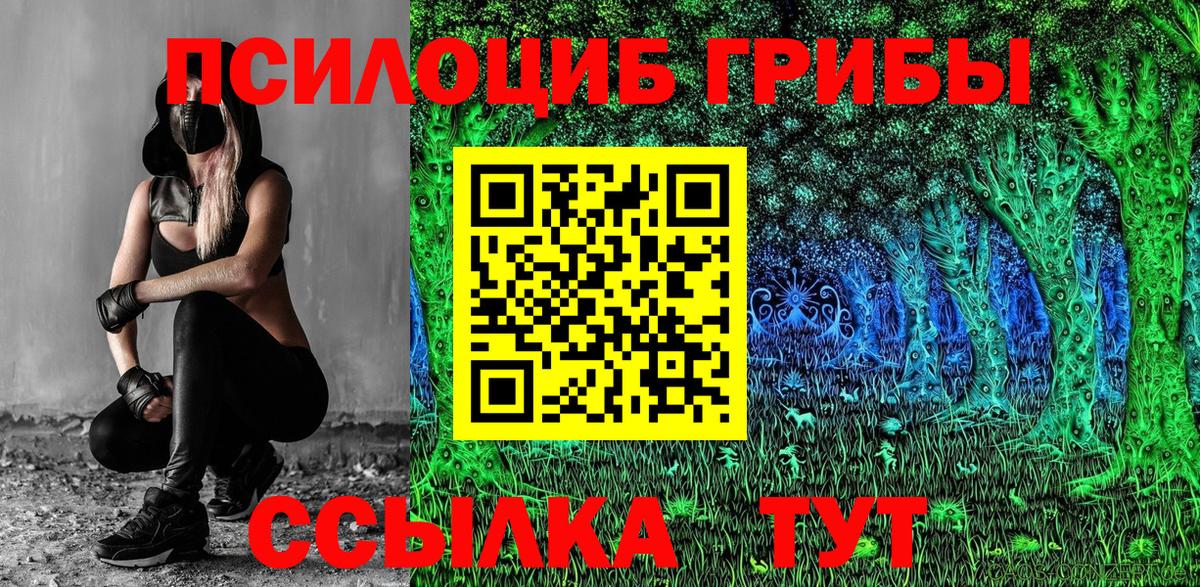 Псилоцибиновые грибы GOLDEN TEACHER  Вход с VPN  Галлюциногенные грибы Psilocybe  Стрежевой 
