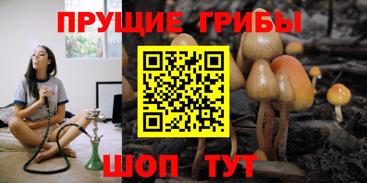 Псилоцибиновые грибы GOLDEN TEACHER Стрежевой